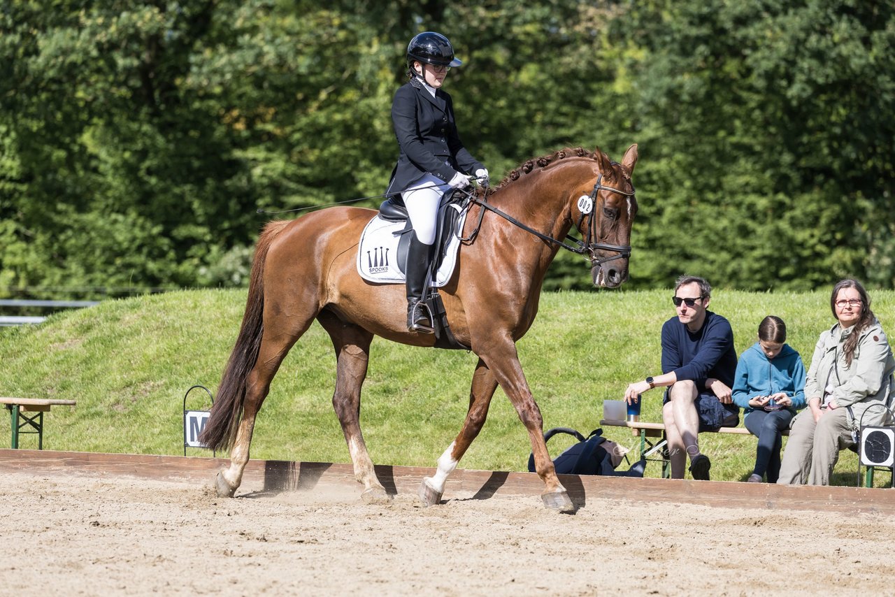 Bild 129 - Pony Akademie Turnier